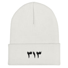 Load image into Gallery viewer, Cuffed Black Embroidered Logo 313 Beanie
