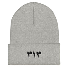 Load image into Gallery viewer, Cuffed Black Embroidered Logo 313 Beanie
